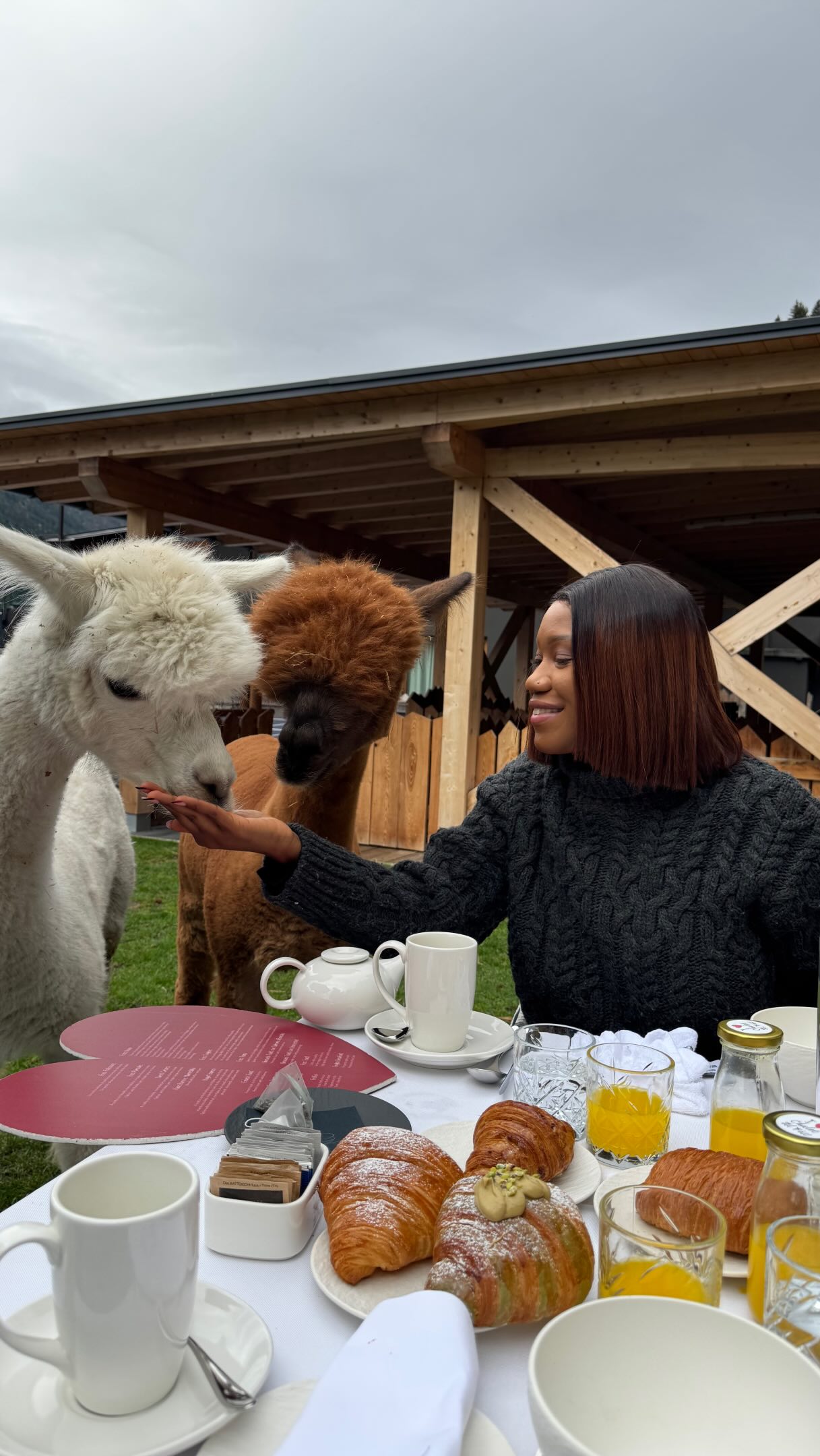 Alpaca Breakfast At Dolomite Chalet