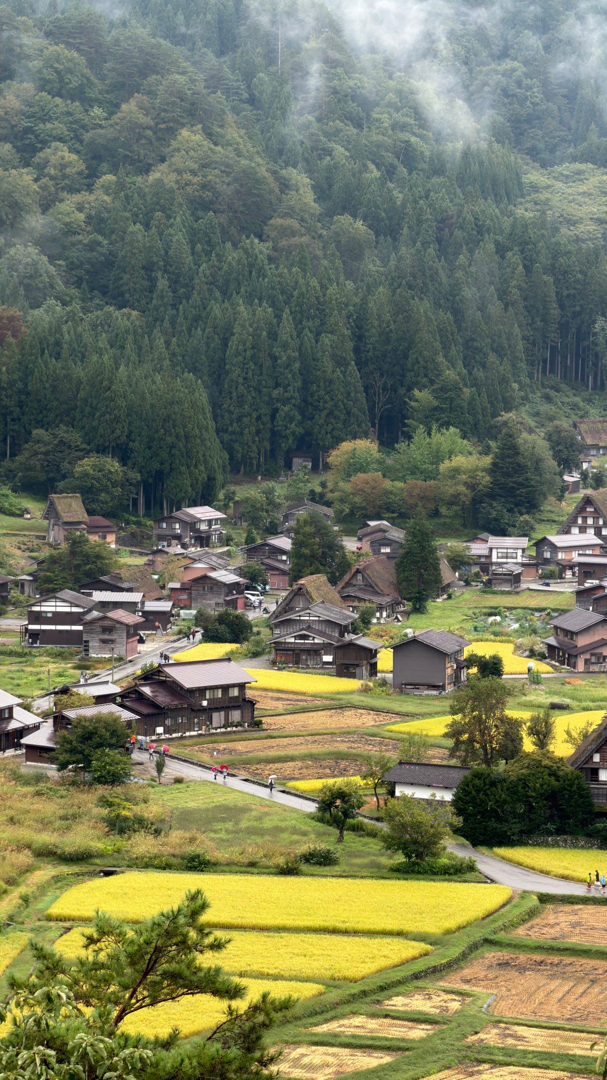 Unique Houses Unite UNESCO World Heritage Sites