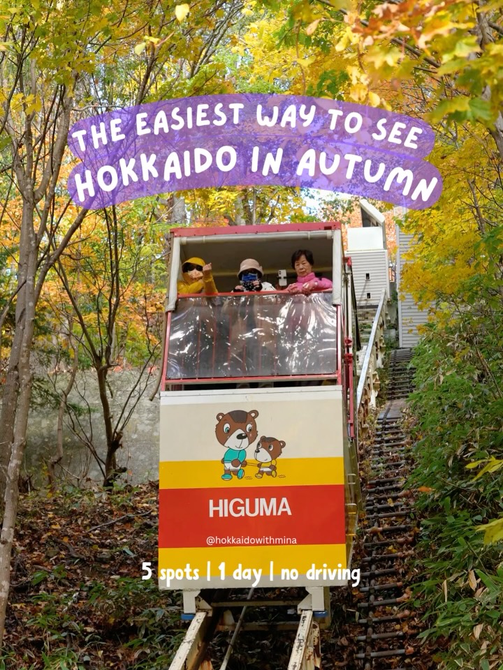 Hokkaido Autumn Bus Tour: Scenic Spots and Shopping