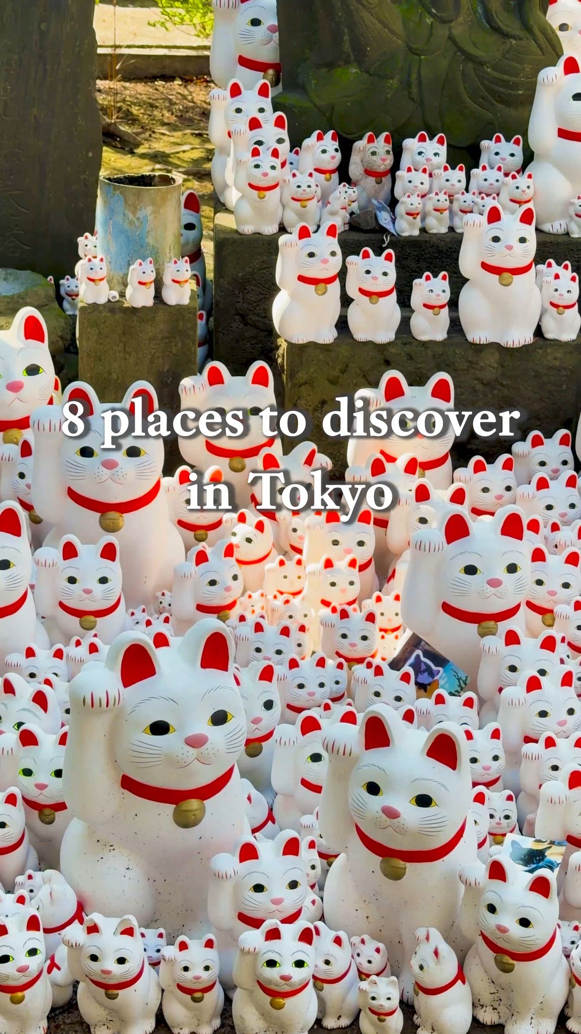 Eight Tokyo Attractions: Nature, Temples, and Cityscapes