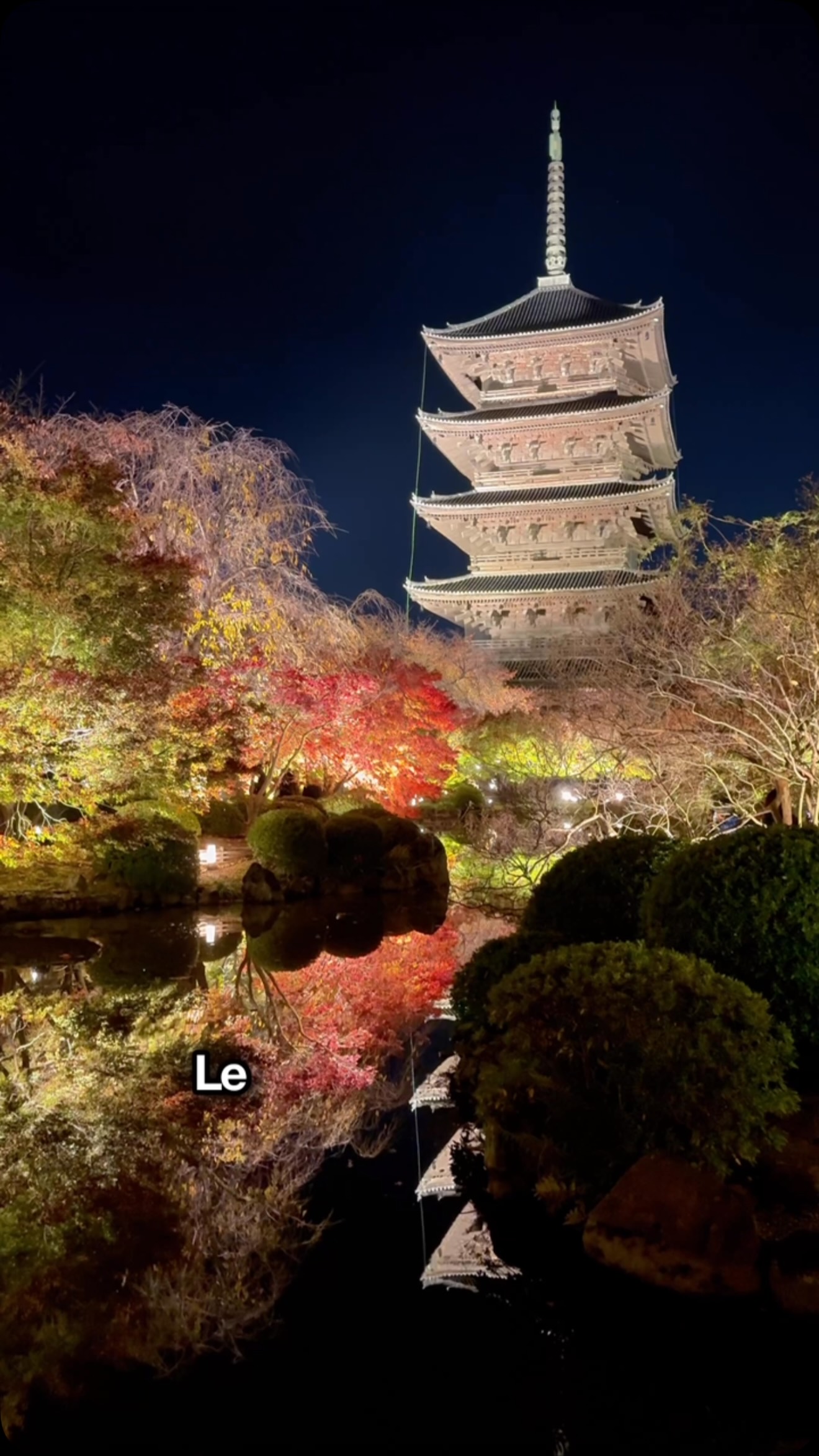 Kyoto's To-ji Temple Autumn Illumination