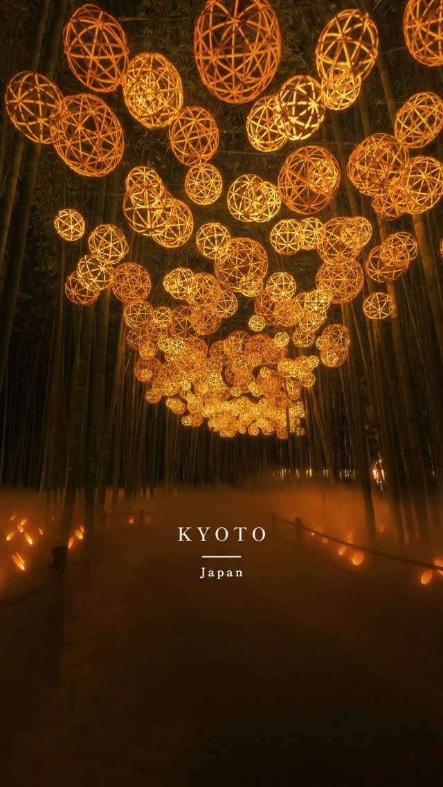 Arashiyama Bamboo Forest Light-Up Event