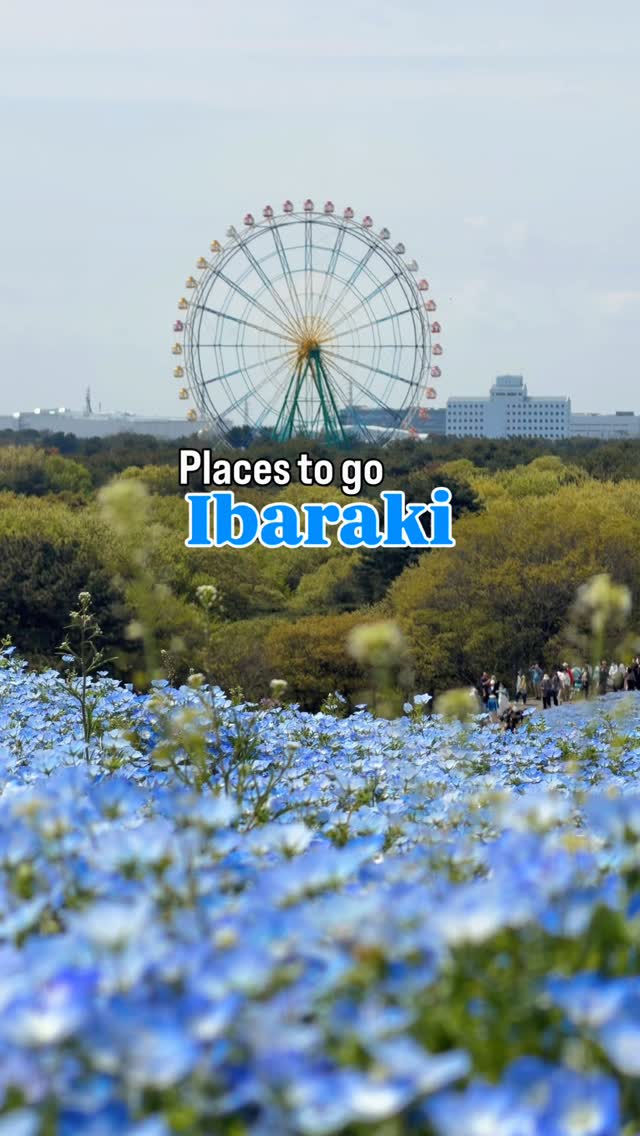 Discover Ibaraki's Natural Beauty And Cultural Sites