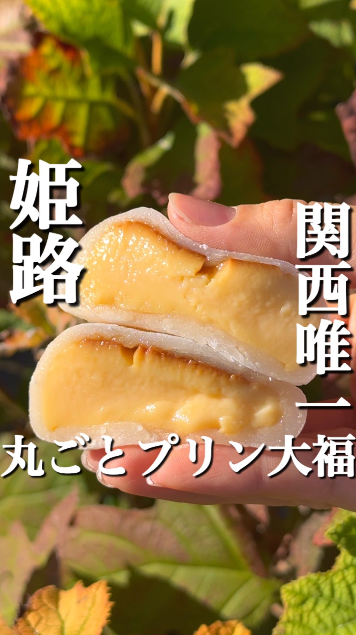 Edoya's Original Pudding Daifuku from Himeji