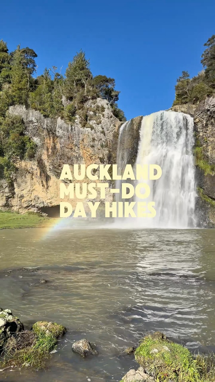 Auckland's Best Dog-Friendly Day Hikes