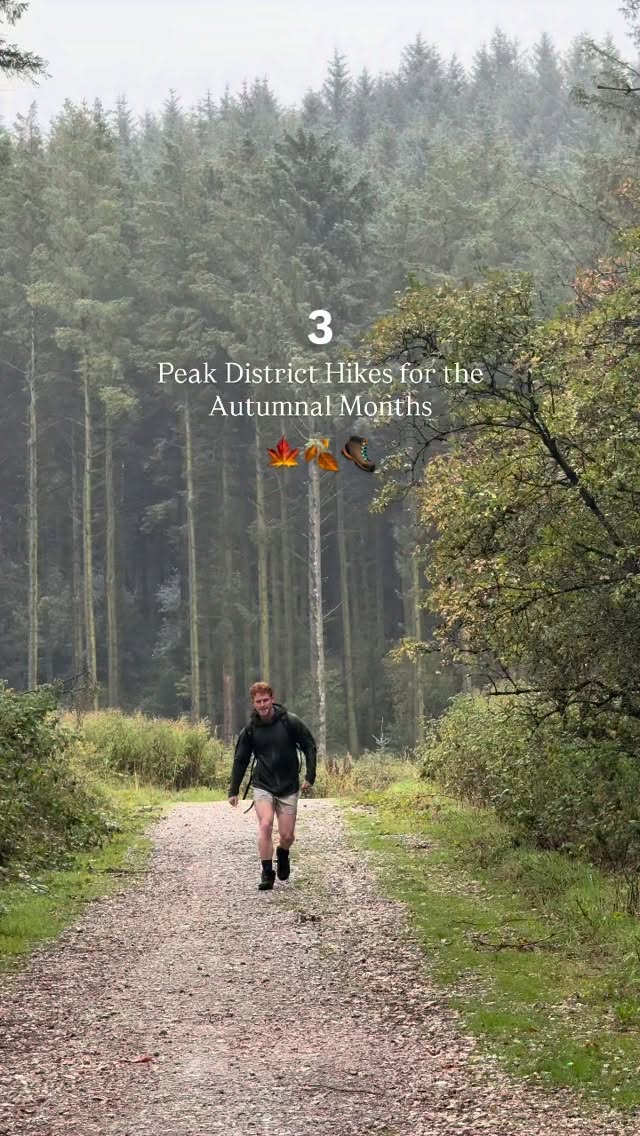 Peak District Autumn Walks: Forest, Chasm, and Village