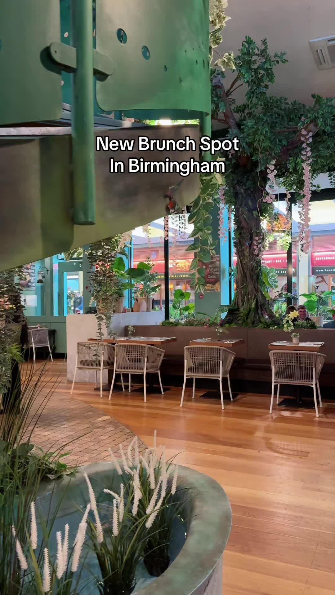 Birmingham Brunch Spot Boasts Woodland Ambiance