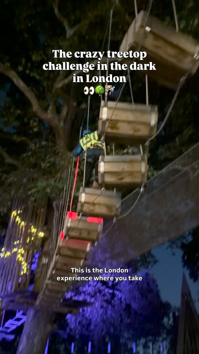 London Treetop Adventures Illuminated At Night