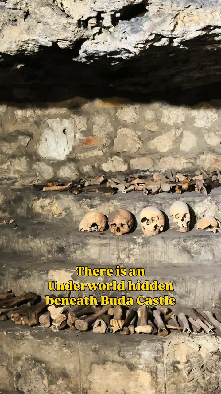 Buda Castle Caves: A Hidden Labyrinth