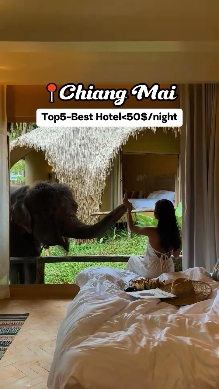 Five Chiang Mai Hotels With Unique Stays