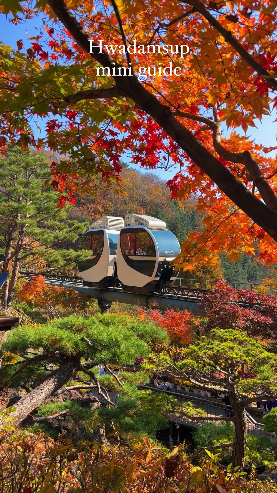 Hwadamsup Botanical Garden's Autumn Serenity