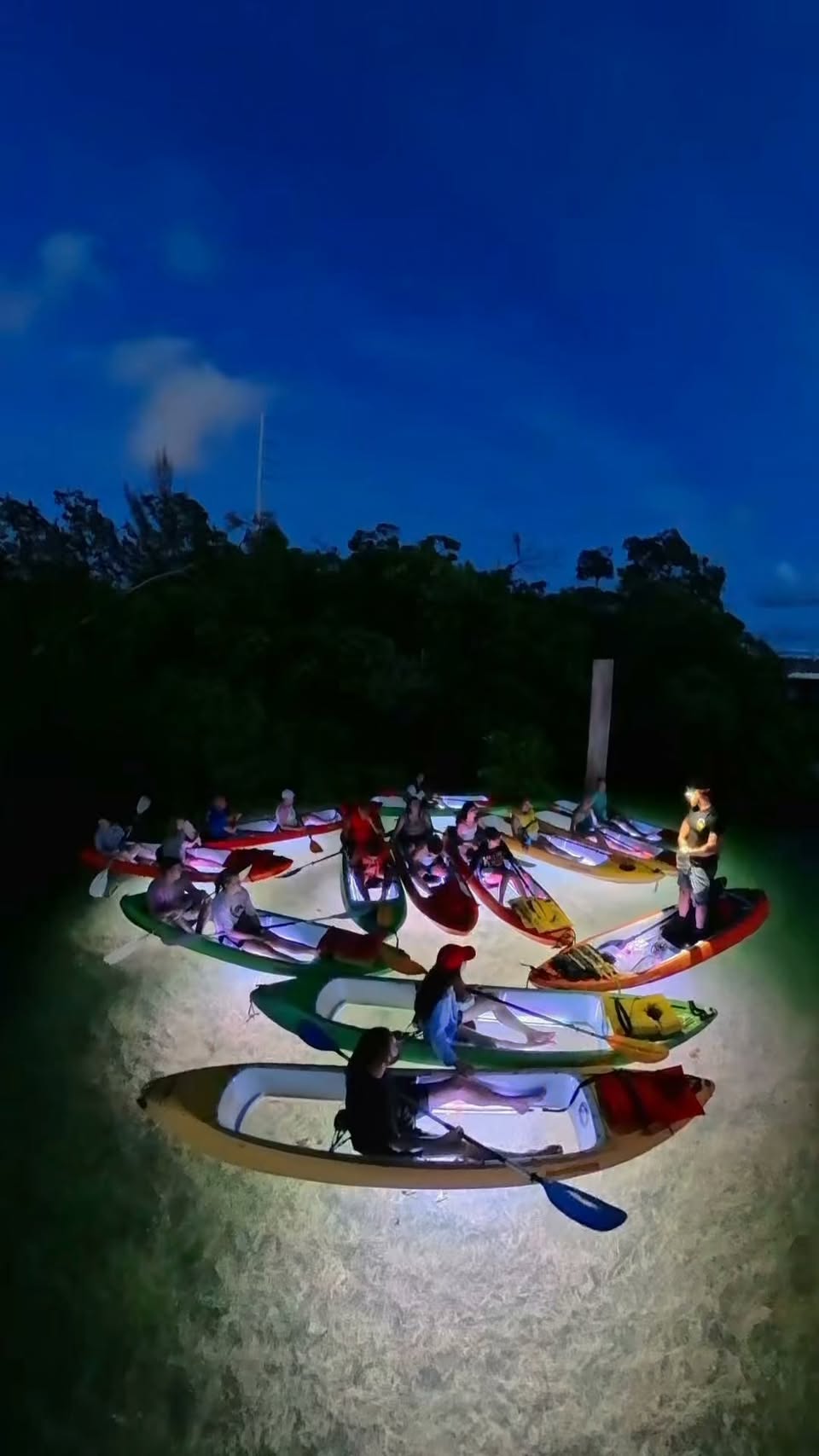 Glow Kayaking Through Key West Mangroves