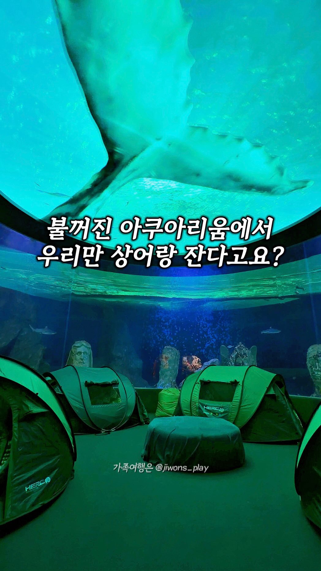 Family Life Camp at Lotte World Aquarium