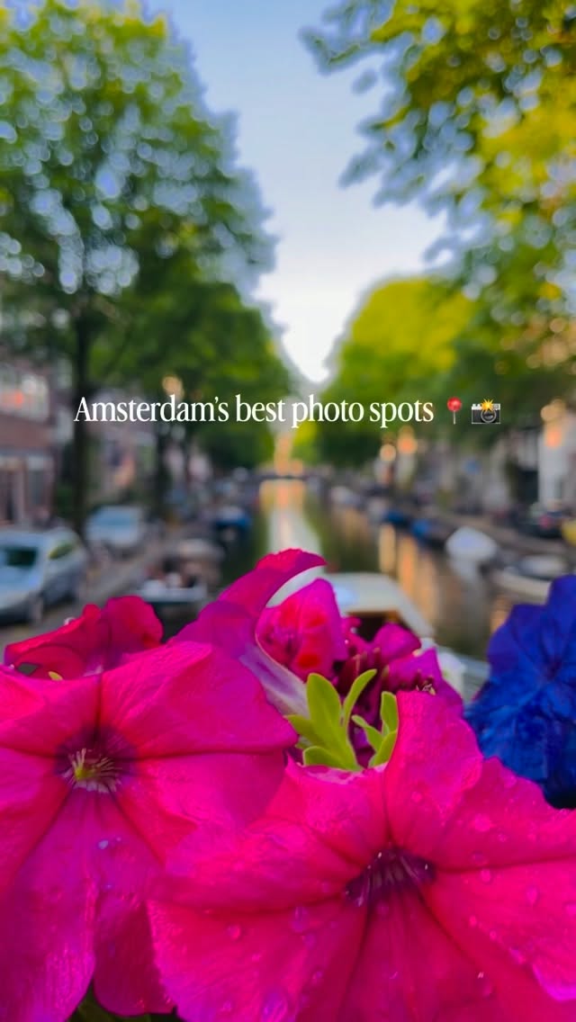 Instagrammable Amsterdam Spots