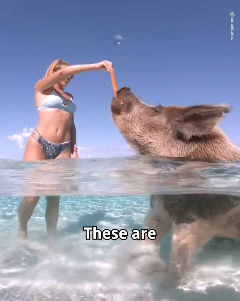 Unique Travel Adventures From Around The Globe