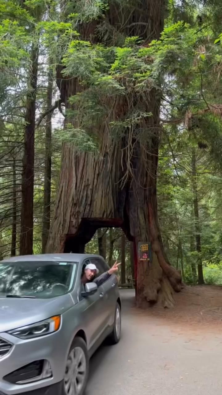 Northern California Road Trip: Parks, Peaks, and Canyons