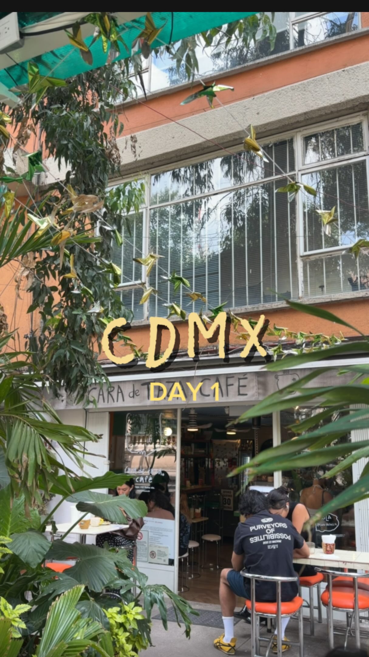 Mexico City Markets, Cafes, and Vintage Shops