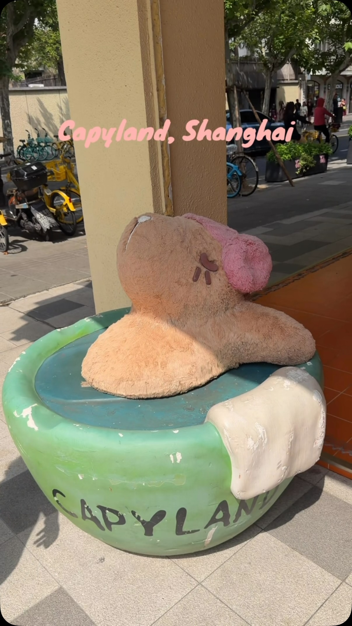 Capybara Cafe Offers Unique Animal Encounters