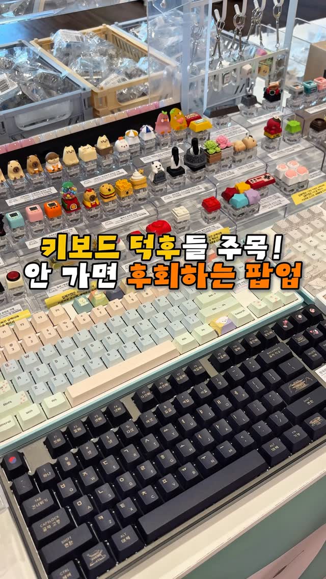 Keyboard Duck Tour Pop-Up Event in Daejeon