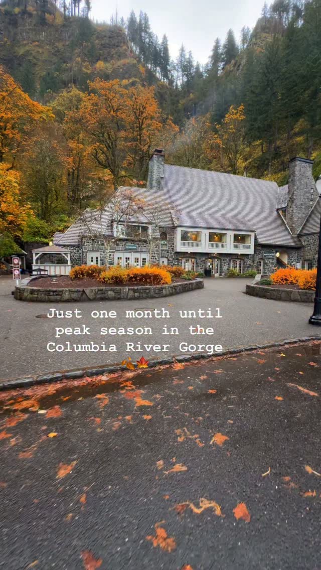 Columbia River Gorge Fall Colors and Scenic Views