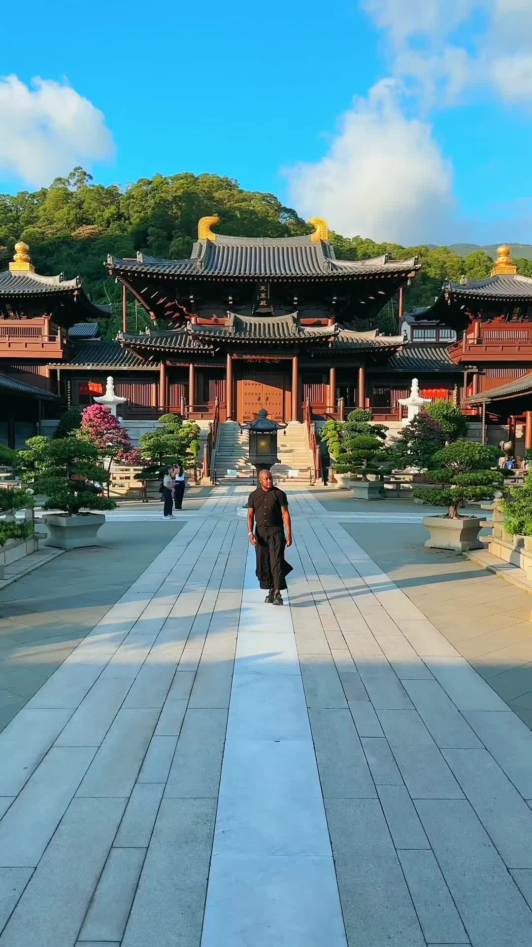 Tranquil Hong Kong Gardens and Architecture