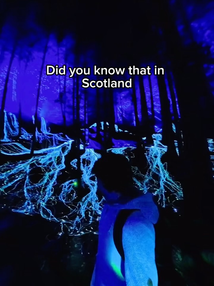 Scottish Nighttime Adventures And Attractions