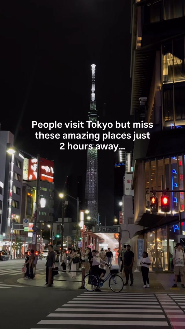 Tokyo Area Excursions: Nature, Shrines, and Parks