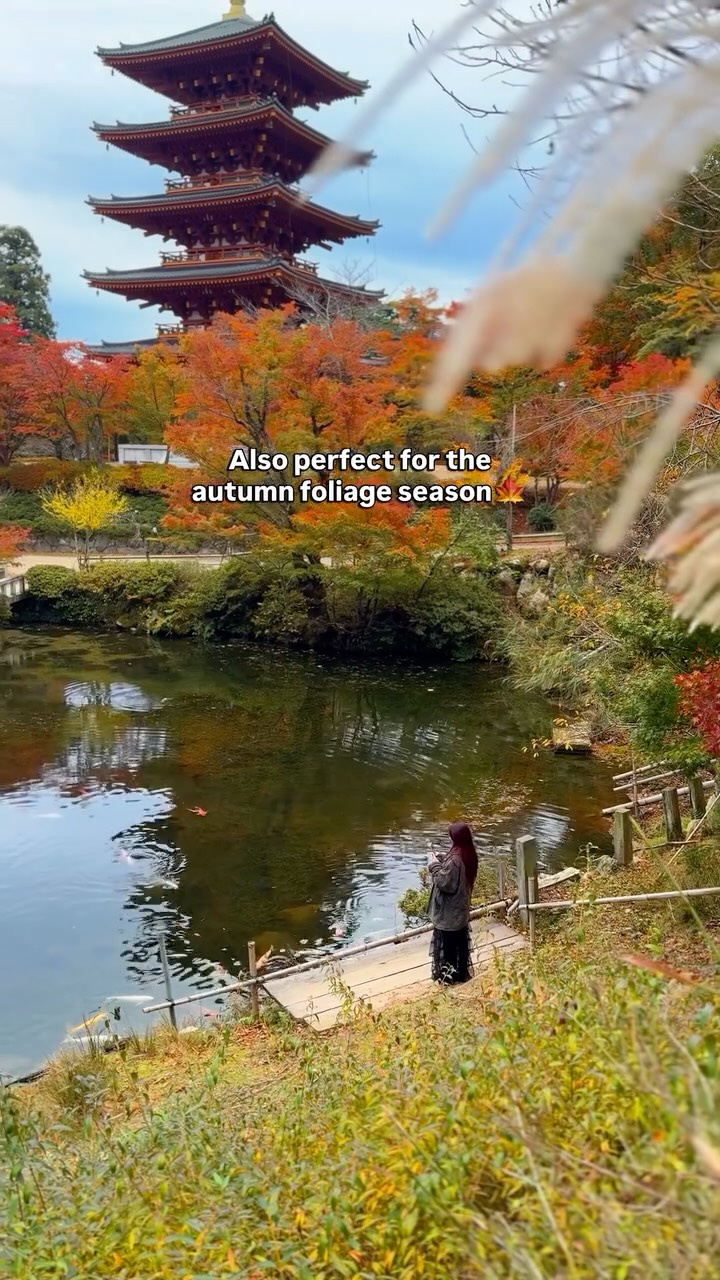 Hidden Kyoto Autumn Spots