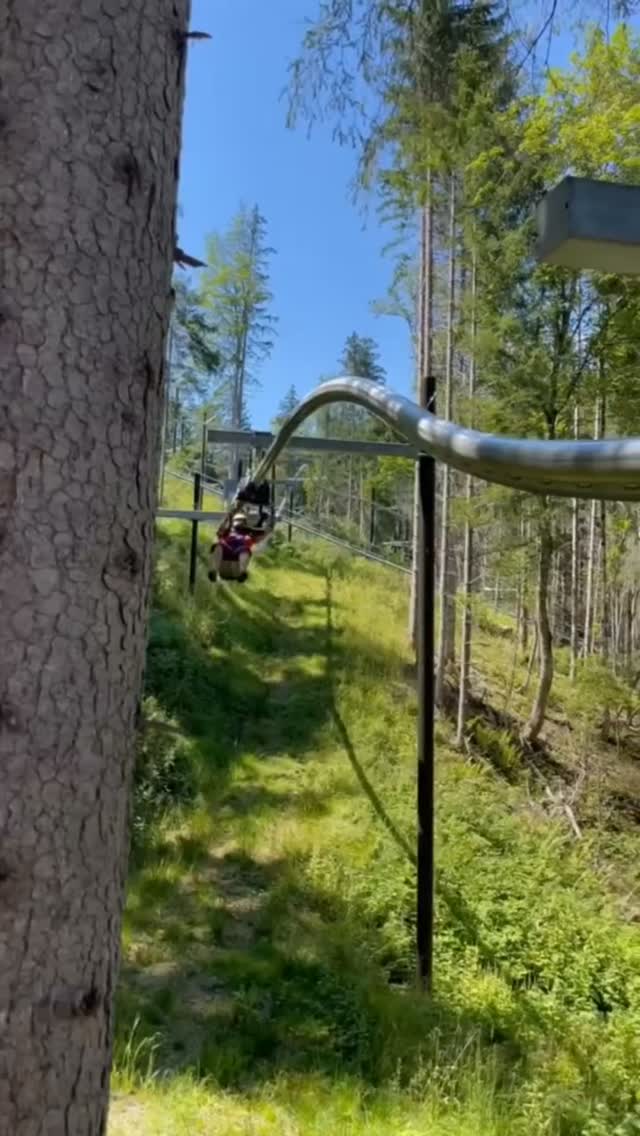 Austrian Ziplines and Dachstein Scenery