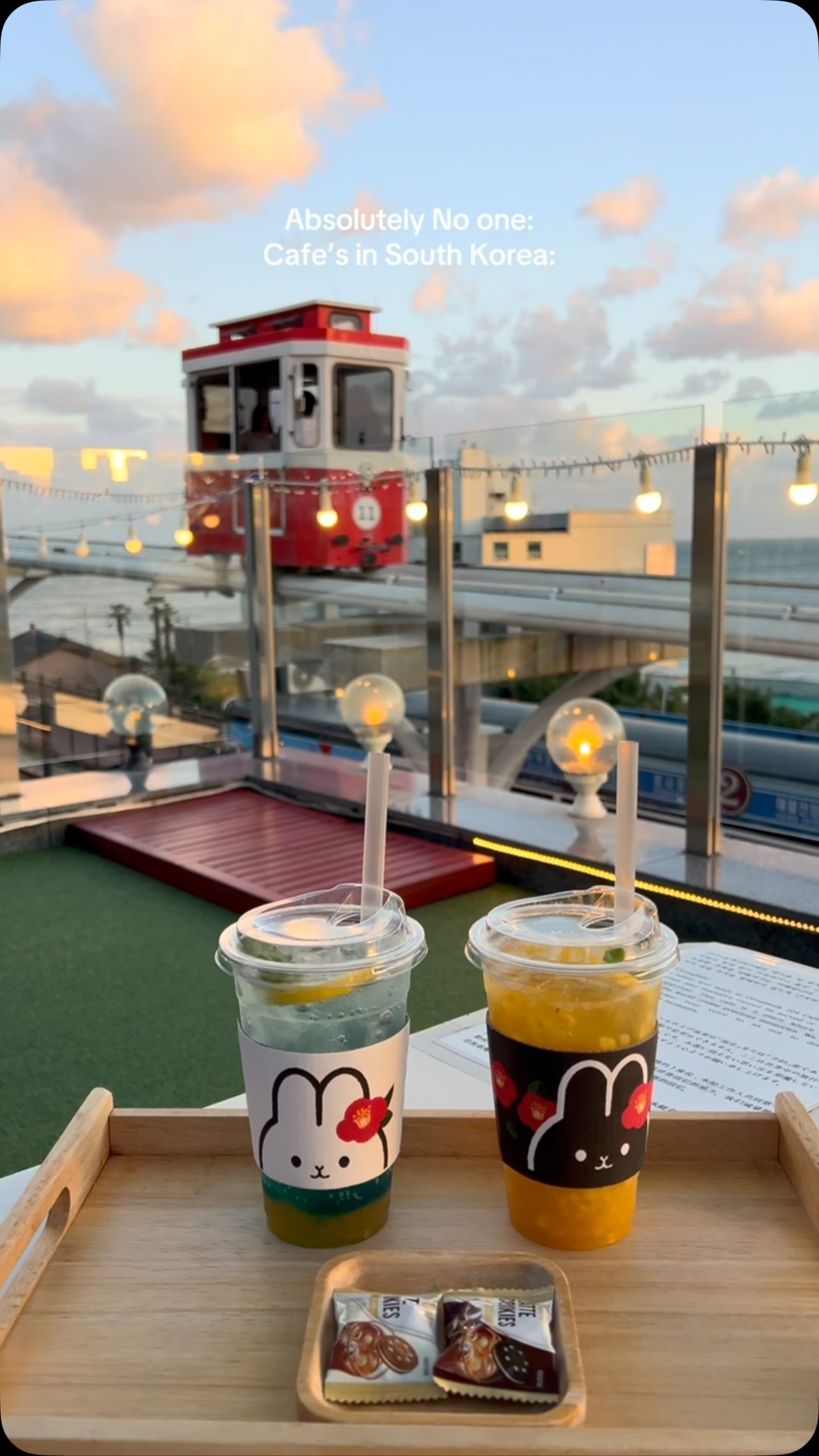 Cafes with Views of Busan's Sky Capsules