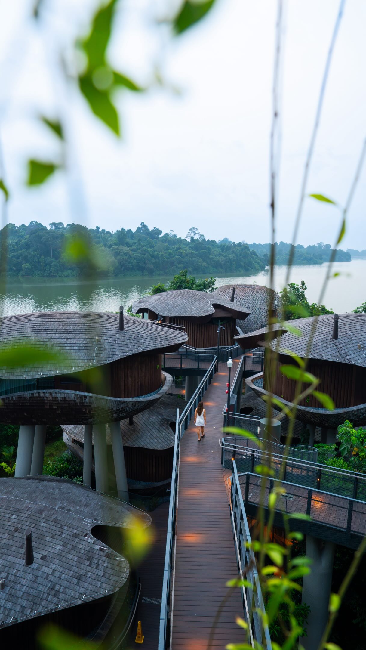Mandai Wildlife Reserve: Rainforest Resort Near Zoos
