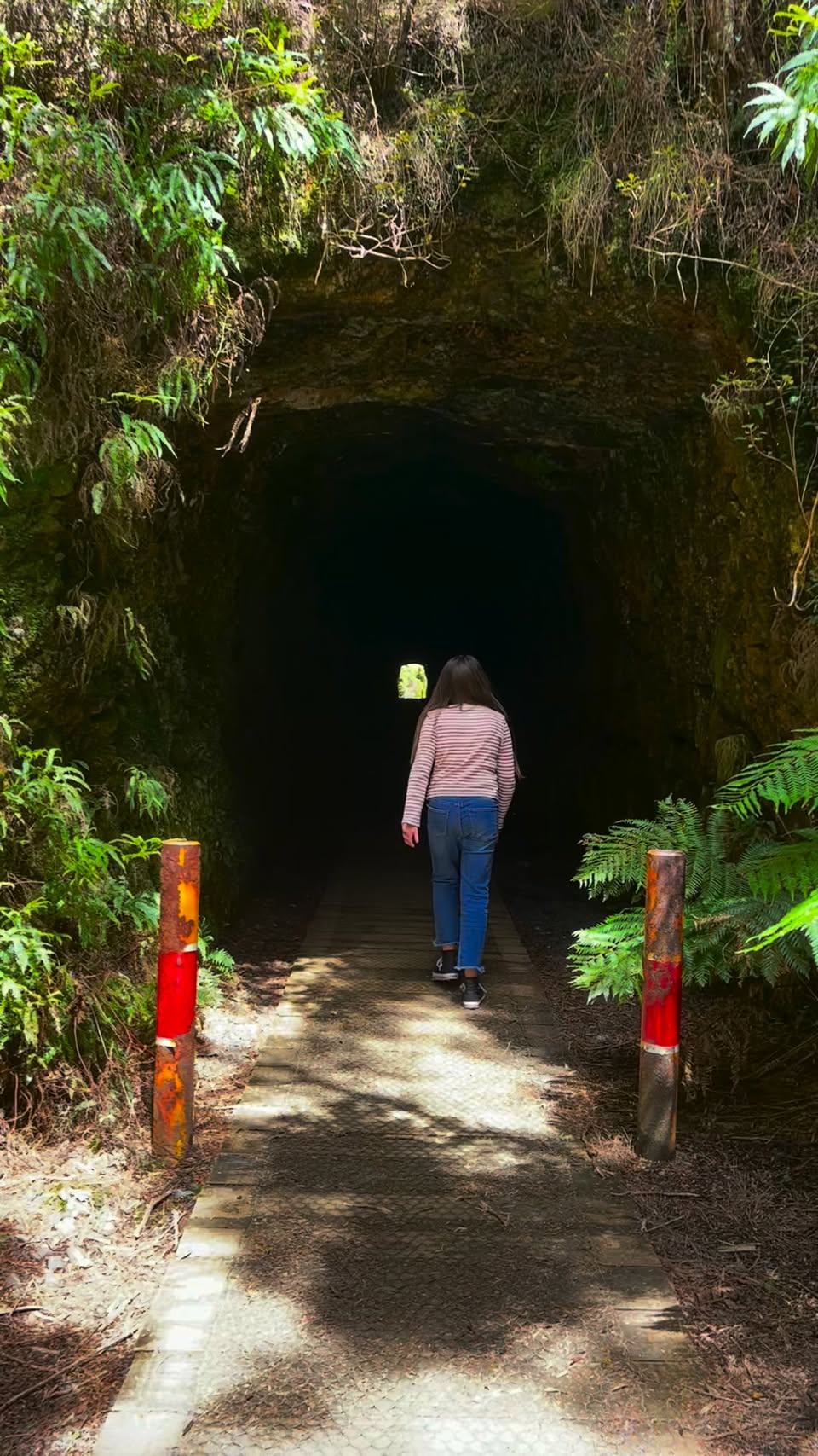Tasmania's Hand-Carved Spray Silver Mine Tunnel