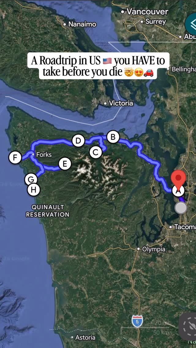 Olympic National Park Washington Road Trip Highlights