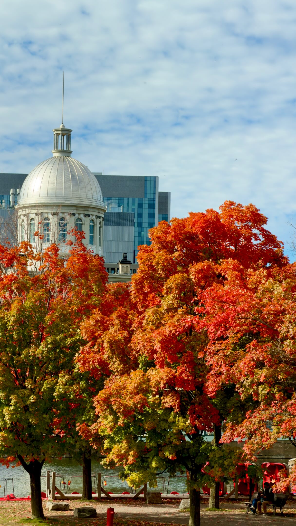 Montreal Fall Itinerary: Historic Sites and Scenic Views