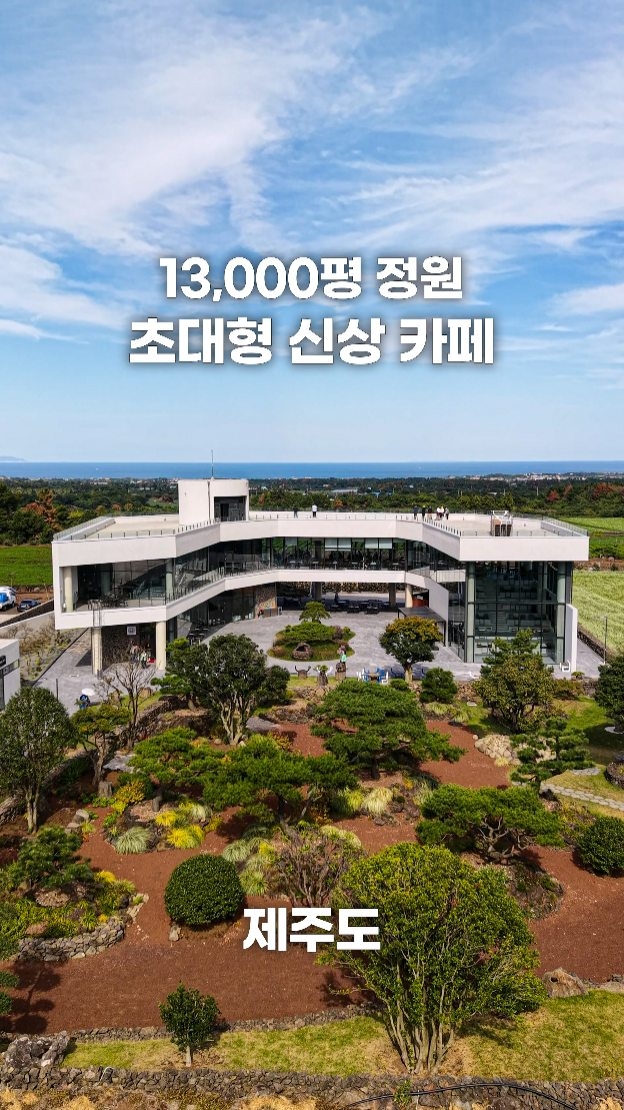 Spacious Jeju Garden Cafe With Ocean Views