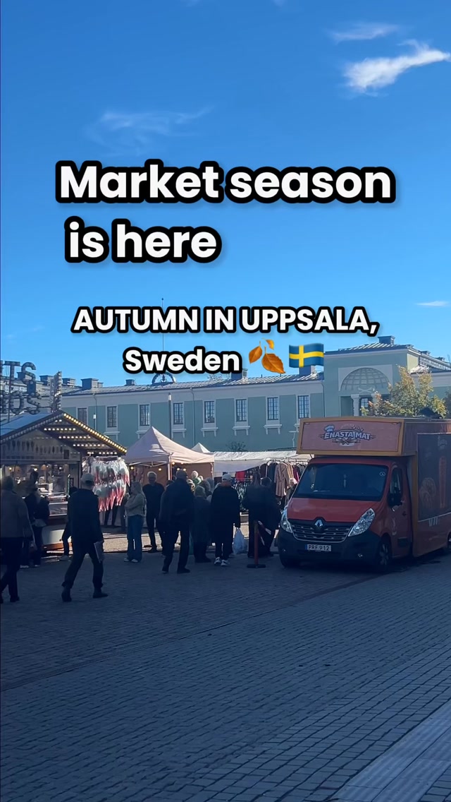 Uppsala Autumn Market Delicacies