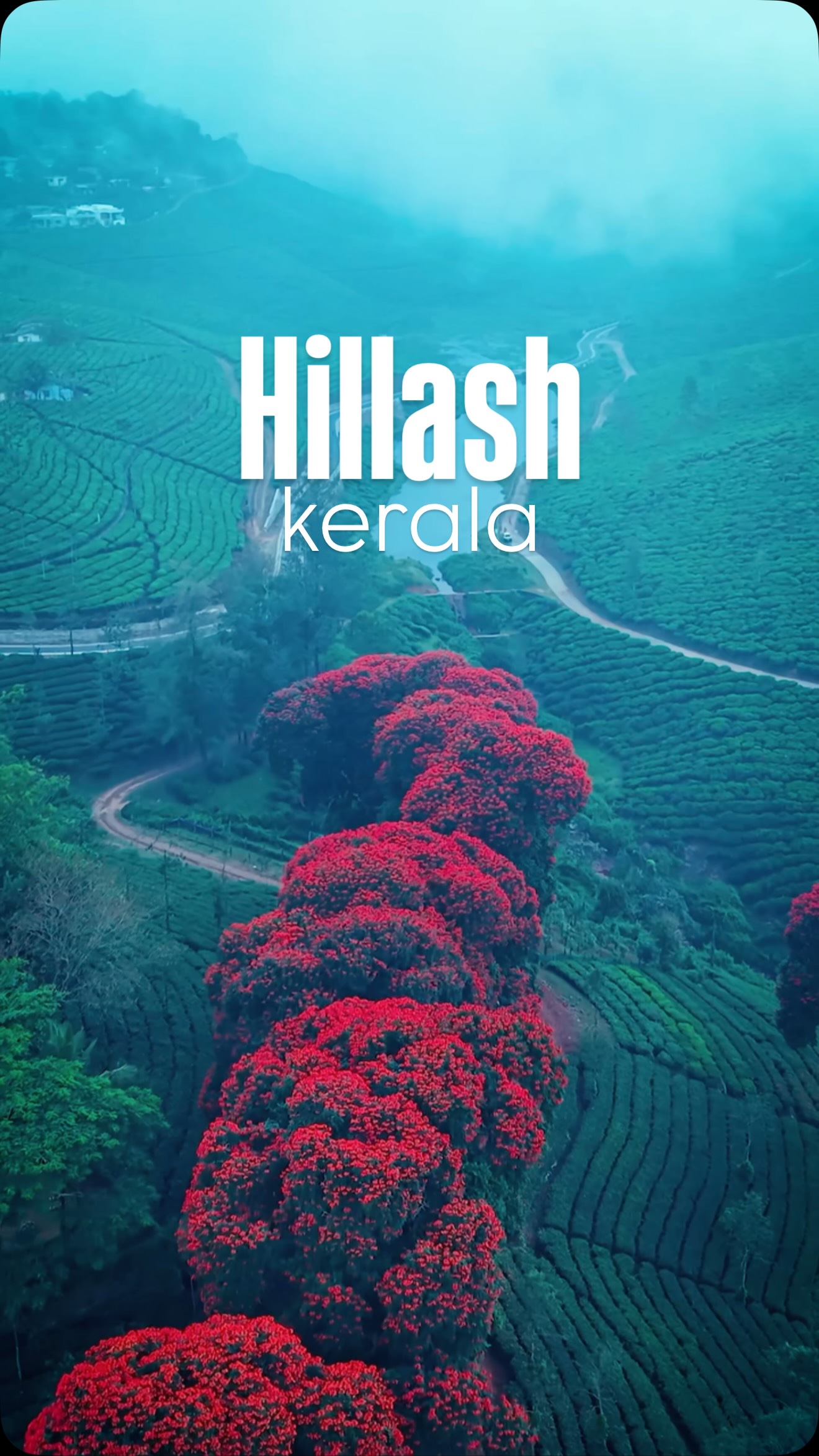 Kerala's Scenic Mountain Road and Viewpoint
