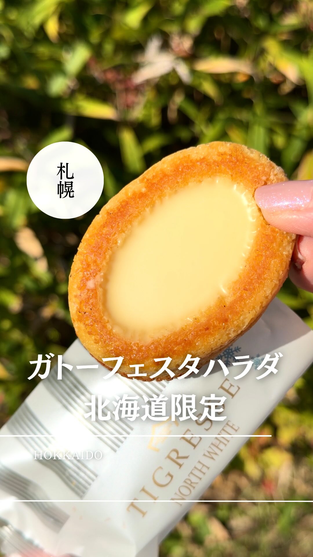 Hokkaido Exclusive Sweets At Daimaru Sapporo