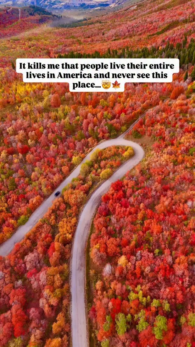 Utah's Scenic Canyons Offer Stunning Fall Foliage Views
