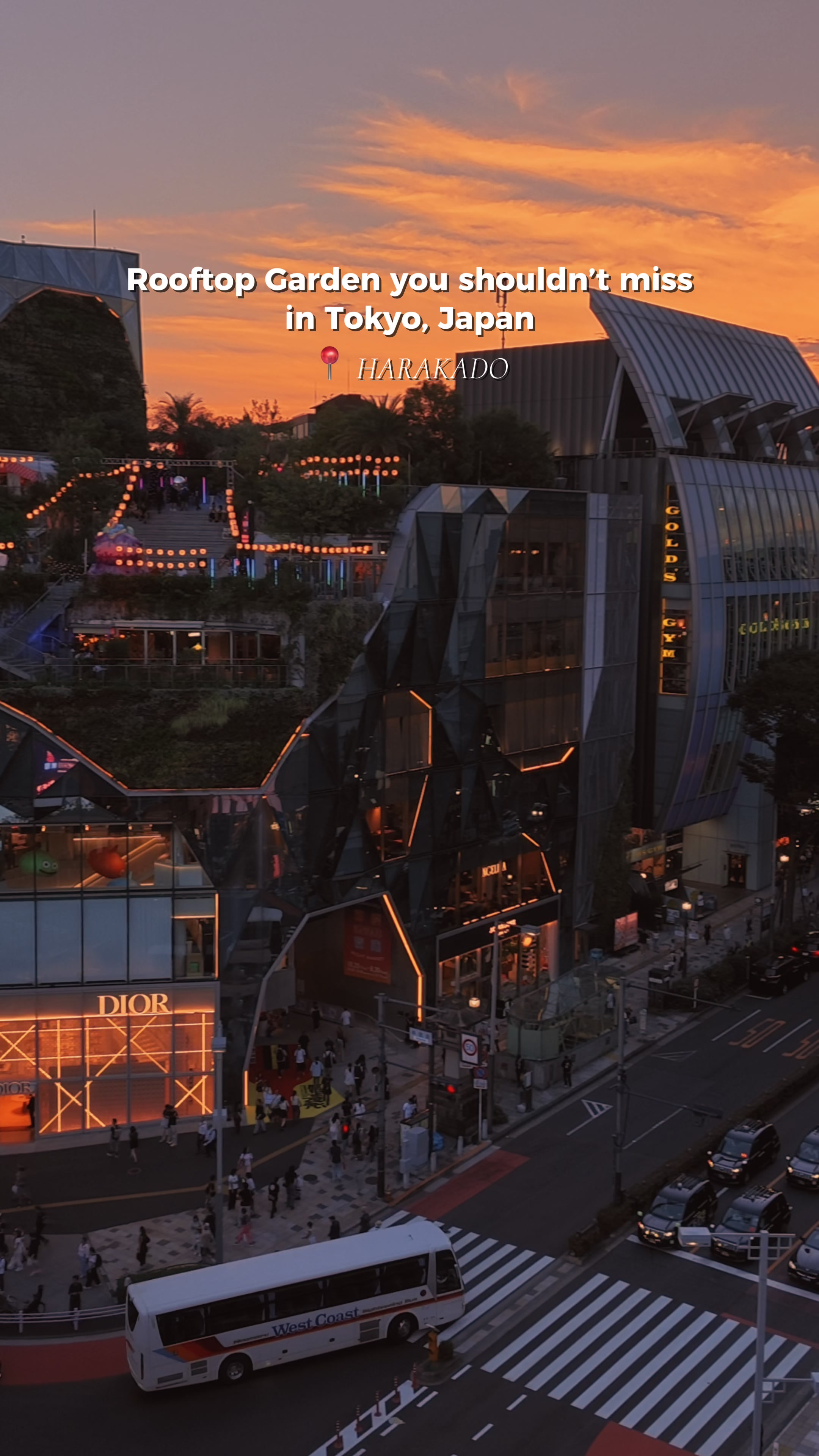 Harajuku and Omotesando Plaza Rooftop Views