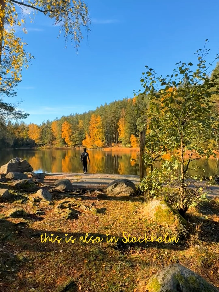 Stockholm's Autumn Nature Reserves Accessible by Transit