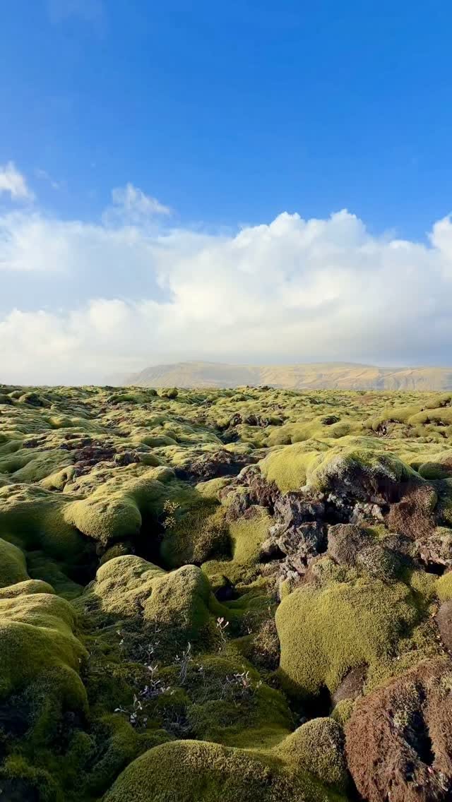 Eldhraun Lava Field Covered in Thick Green Moss