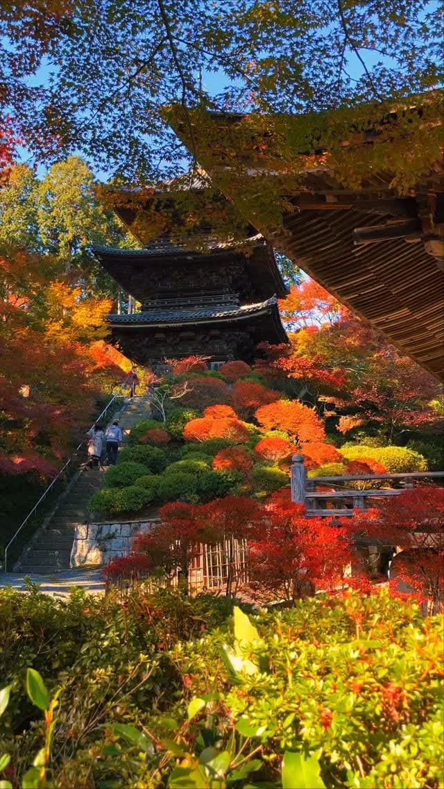 Joraku-ji Temple's Autumn Foliage