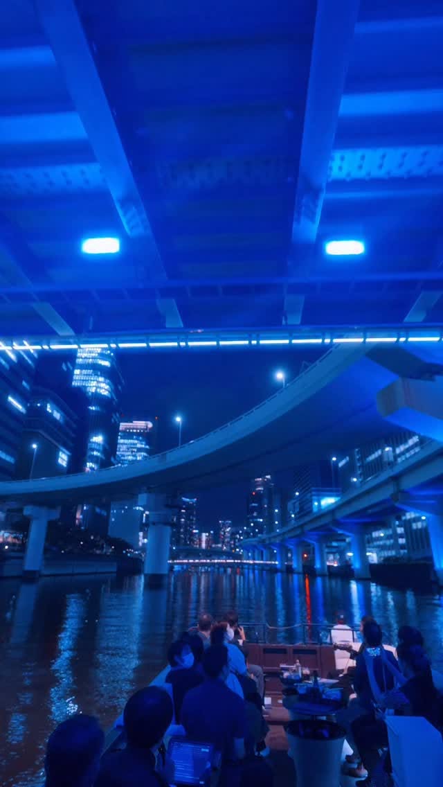 Osaka Night Cruise Through Nakanoshima's Art