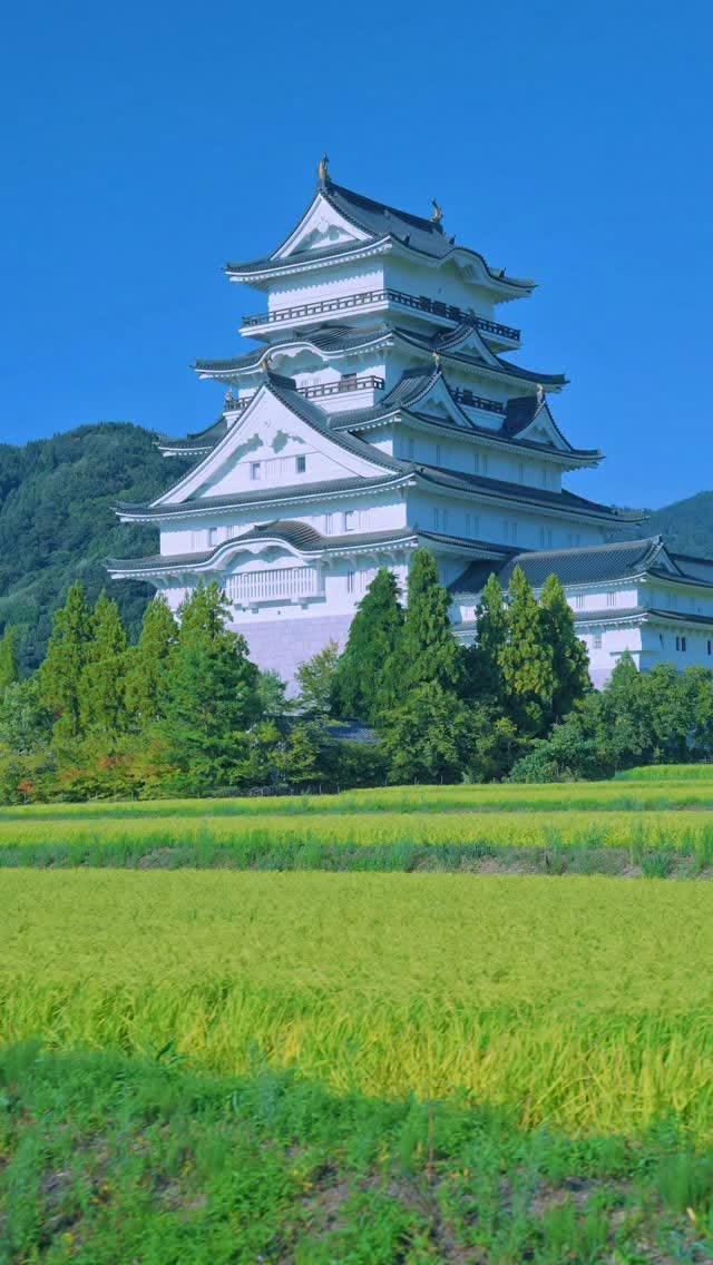 Katsuyama Castle Museum: A Japanese Fortress