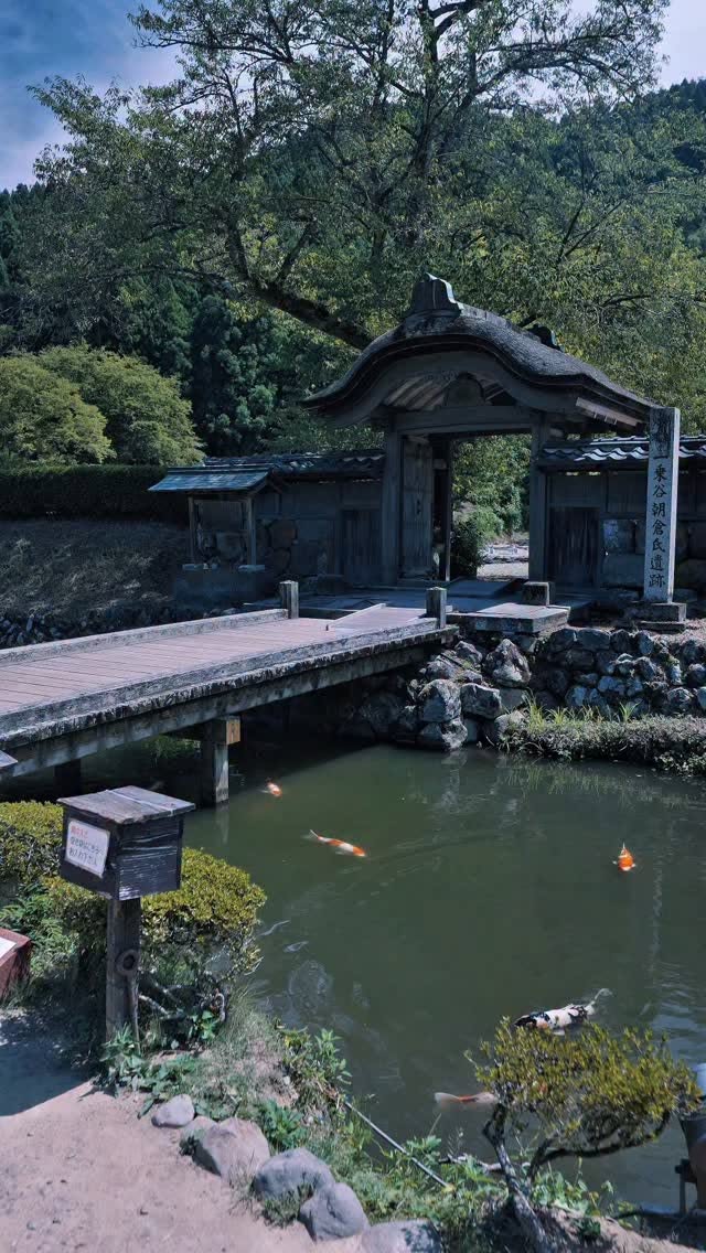 Ichijōdani Asakura Clan Ruins: Historic Japanese Site