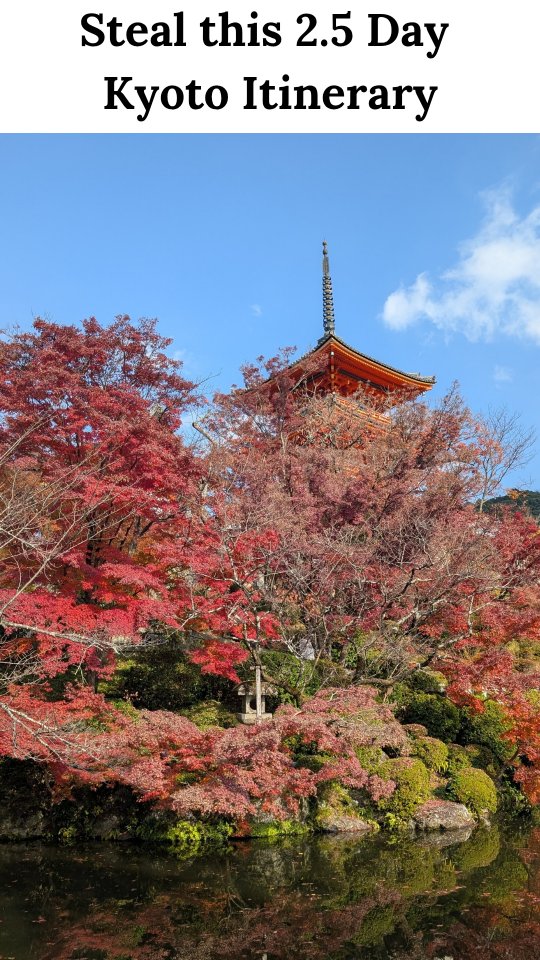 Kyoto's Best: Temples, Markets, and Bamboo Forests