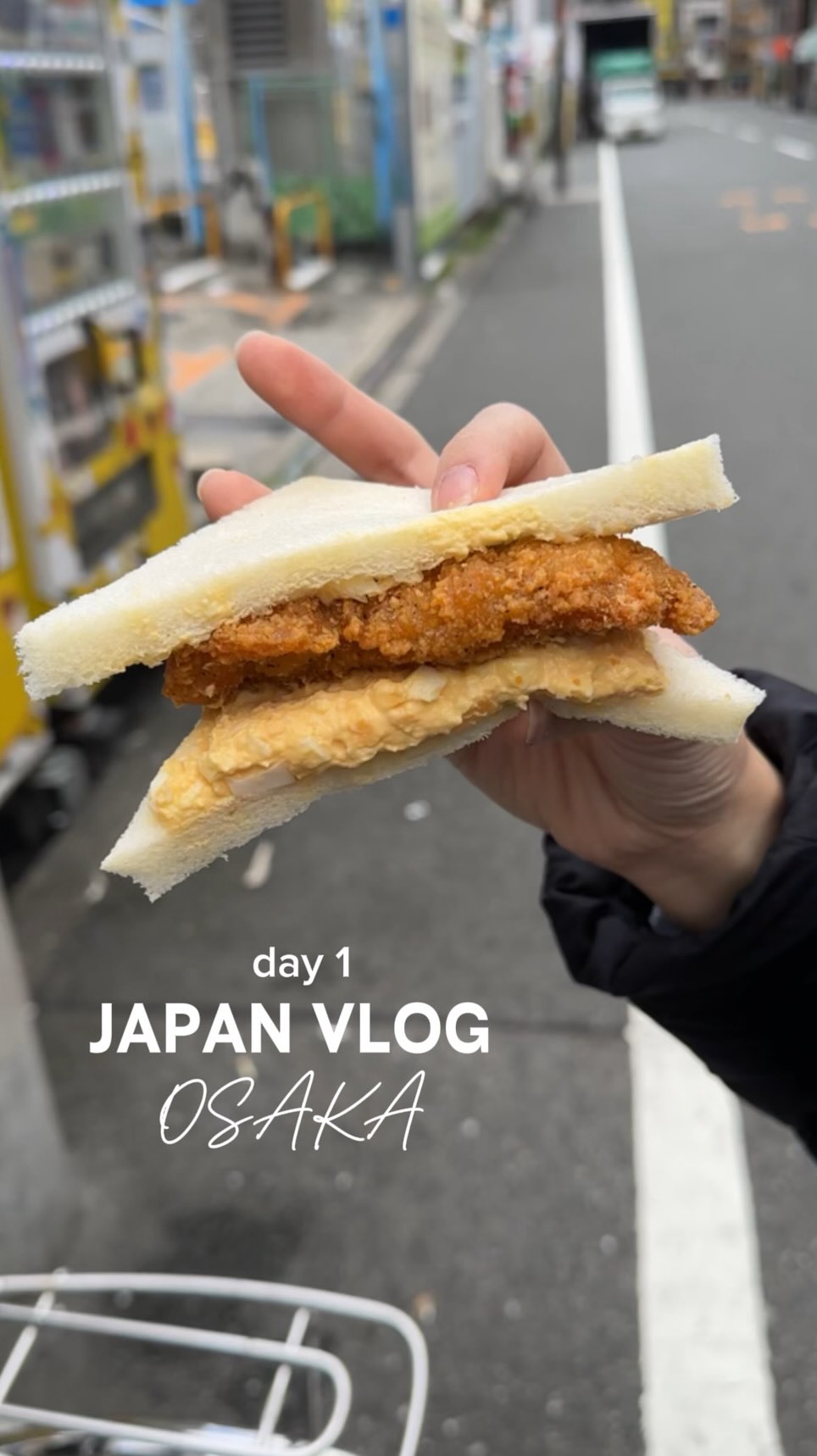Osaka Food Adventures And City Views