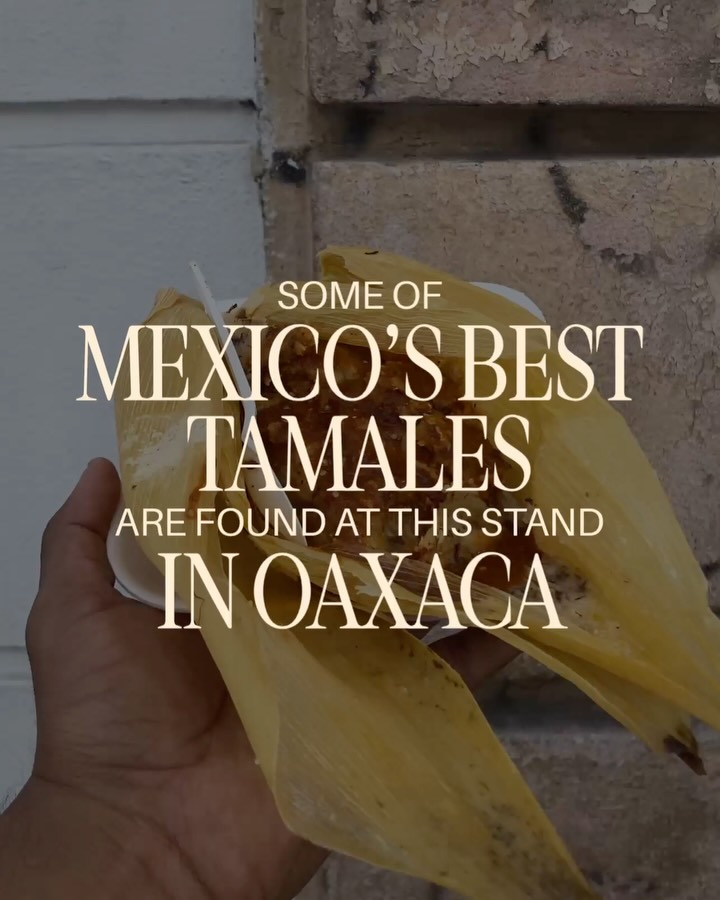 Oaxacan Tamales At Mercado 20 De Noviembre