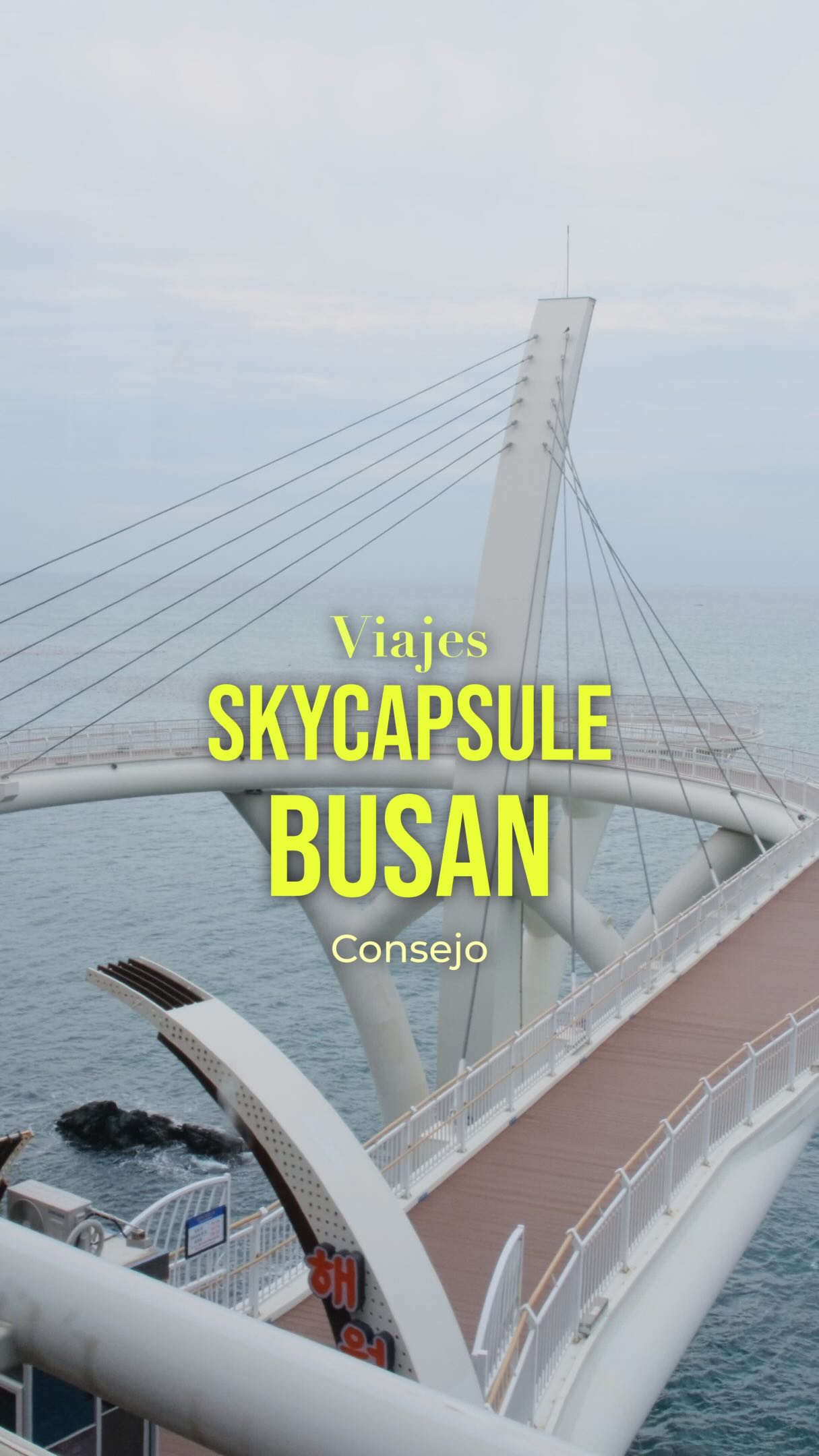 Busan Coastal Views: Sky Capsule and Beach Train